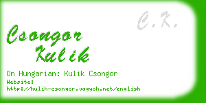 csongor kulik business card